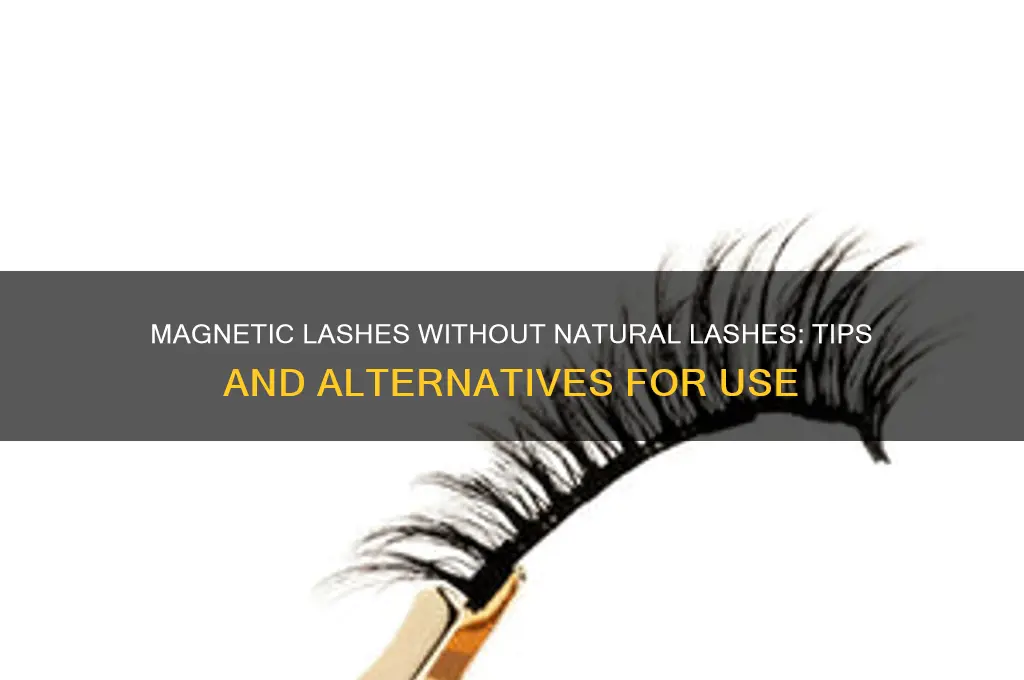can you use magnetic lashes without natural lashes