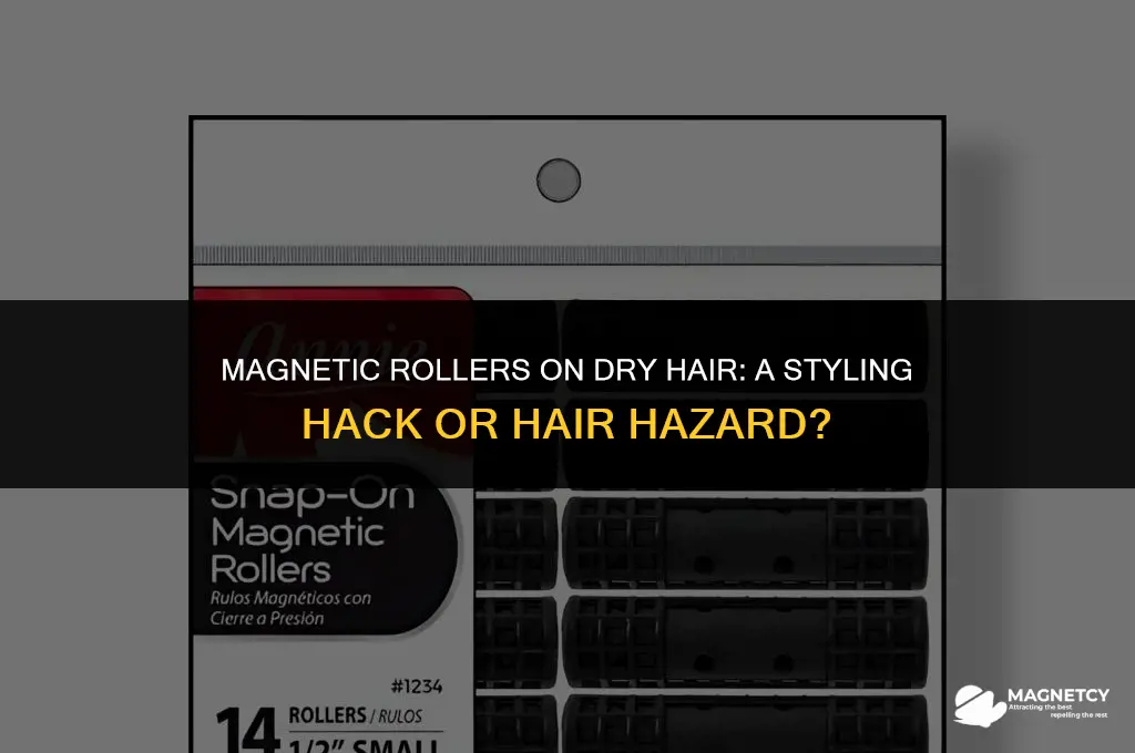 can you use magnetic rollers on dry hair