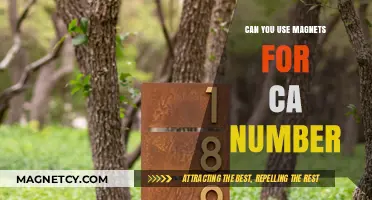 Using Magnets for CA Number: Fact or Fiction Explained