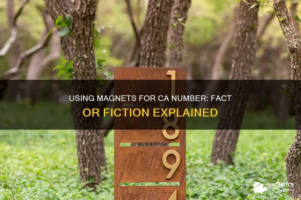 can you use magnets for ca number