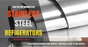 Magnets on Stainless Steel Fridges: Compatibility and Practical Tips
