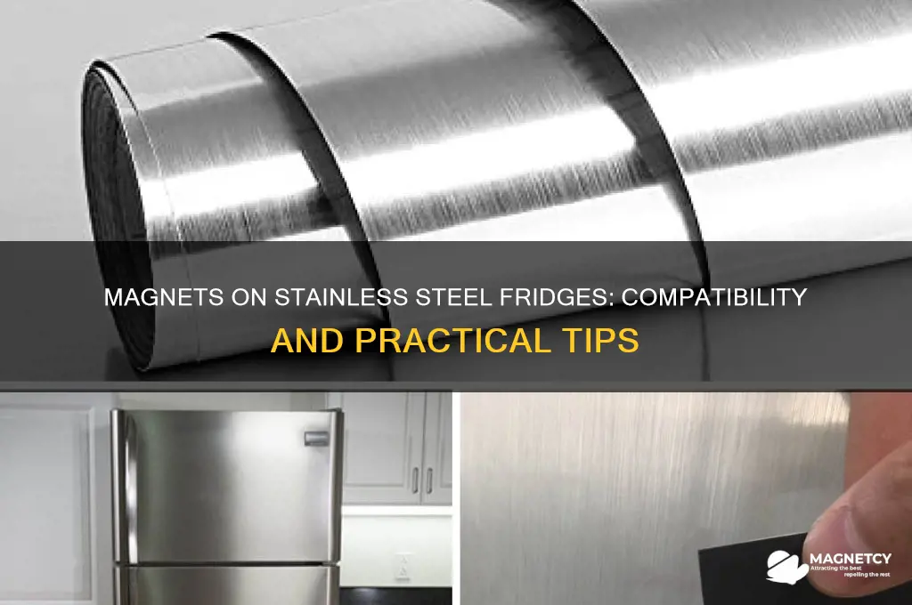 can you use magnets on stainless steel refigerators