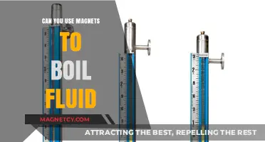 Magnetic Boiling: Can Magnets Heat and Boil Fluids Efficiently?
