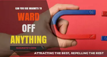 Magnetic Myths: Can Magnets Really Repel Harm or Just Metal?