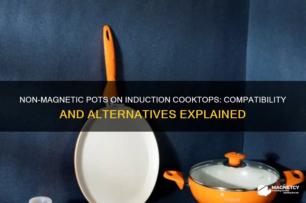 can you use non magnetic pots on induction