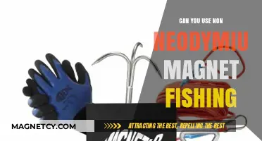 Exploring Magnet Fishing: Alternatives to Neodymium Magnets for Effective Retrieval