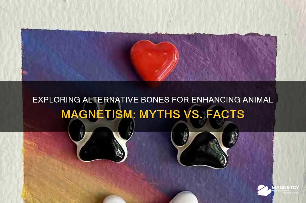 can you use other bones for animal magnetism