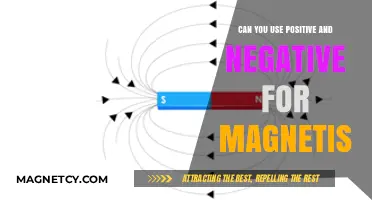 Positive and Negative Poles: Understanding Magnetism's Dual Forces