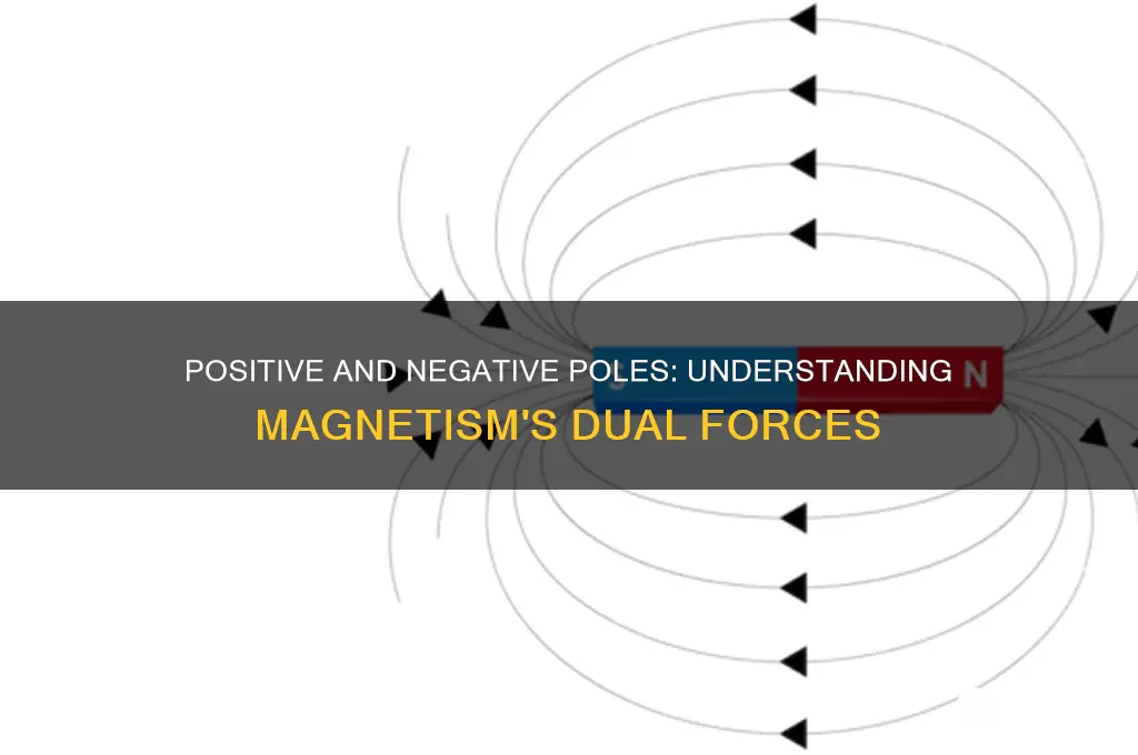 can you use positive and negative for magnetism