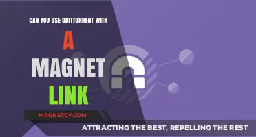 Exploring Magnet Links: A Comprehensive Guide for Qbittorrent Users