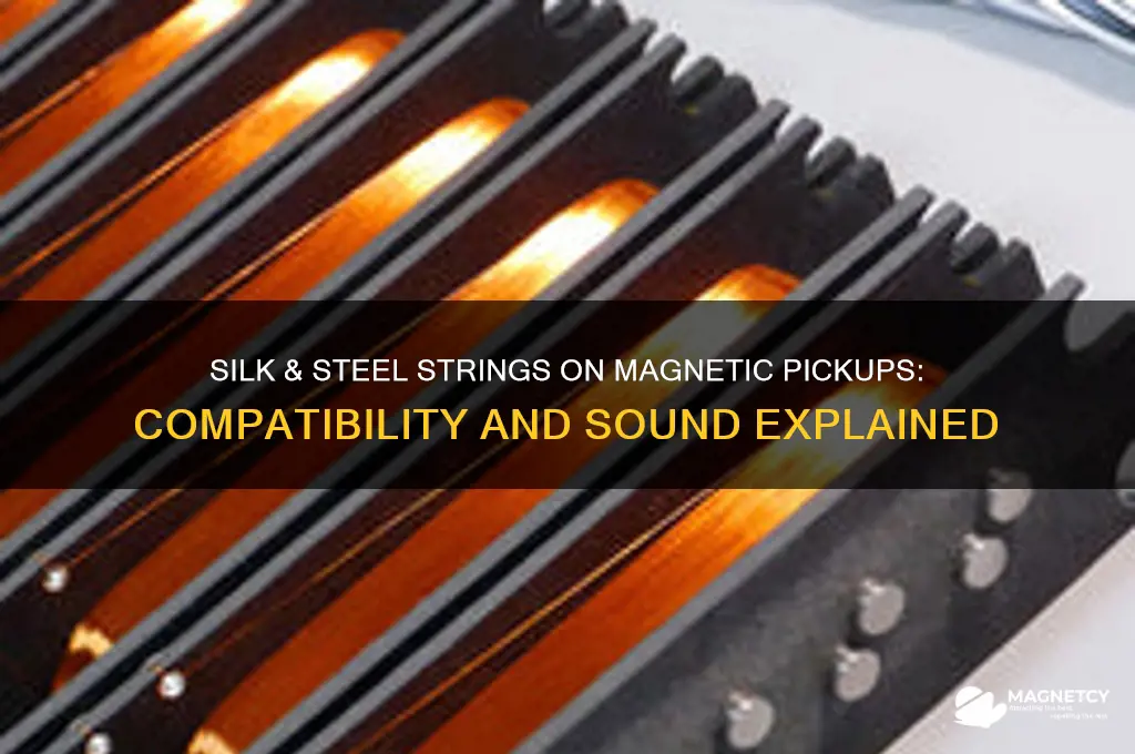 can you use silk and steel strings with magnetic pickups