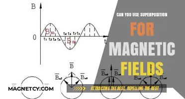Exploring Superposition: Can Magnetic Fields Combine Linearly?