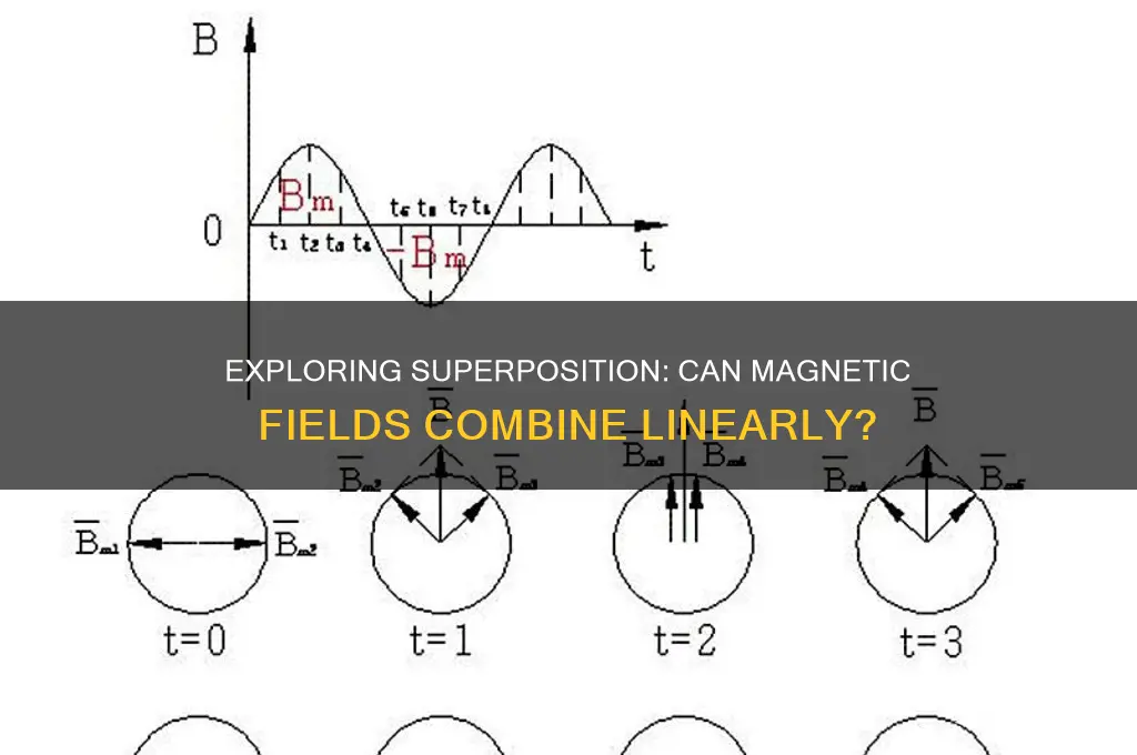 can you use superposition for magnetic fields