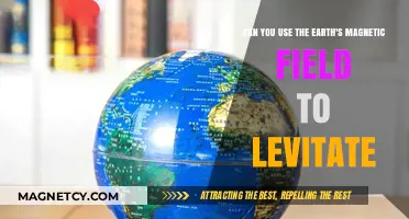 Levitation Secrets: Harnessing Earth's Magnetic Field for Floating Objects