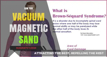 Exploring the Wonders of Magnetic Sand: Can You Vacuum It?