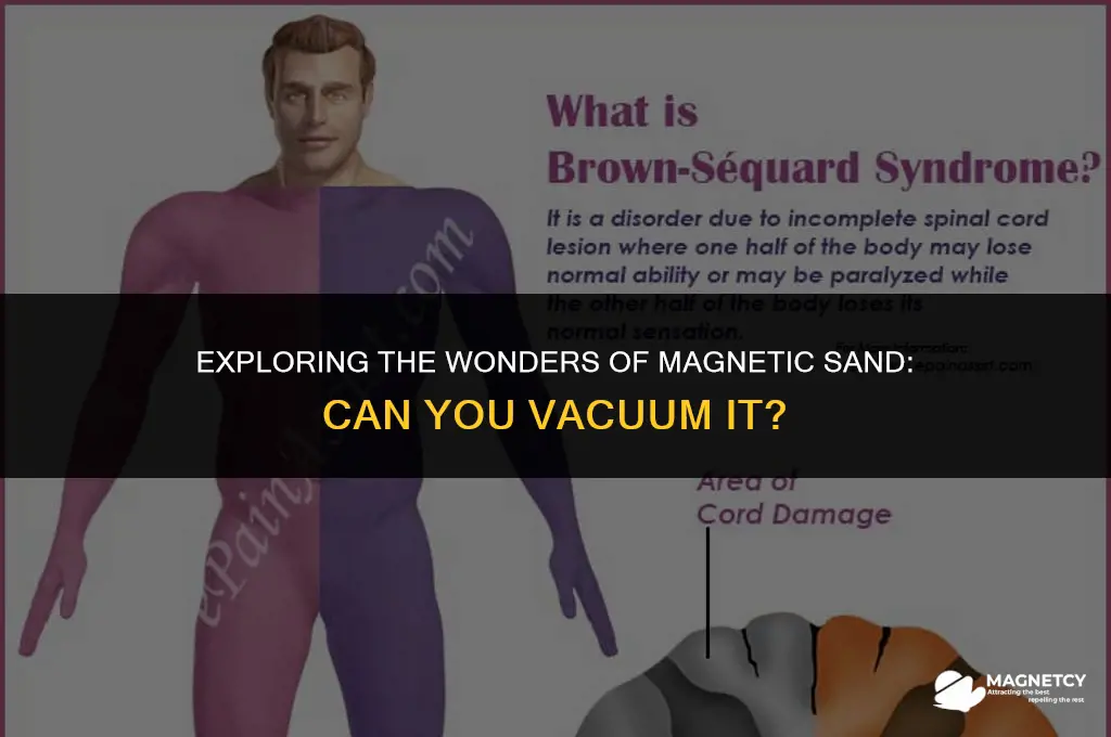 can you vacuum magnetic sand