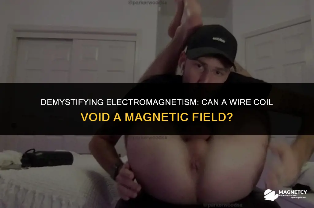 can you void a magnet field with a wire coil