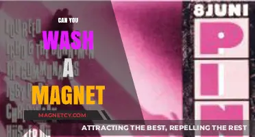 Unraveling the Mystery: Can You Really Wash a Magnet?