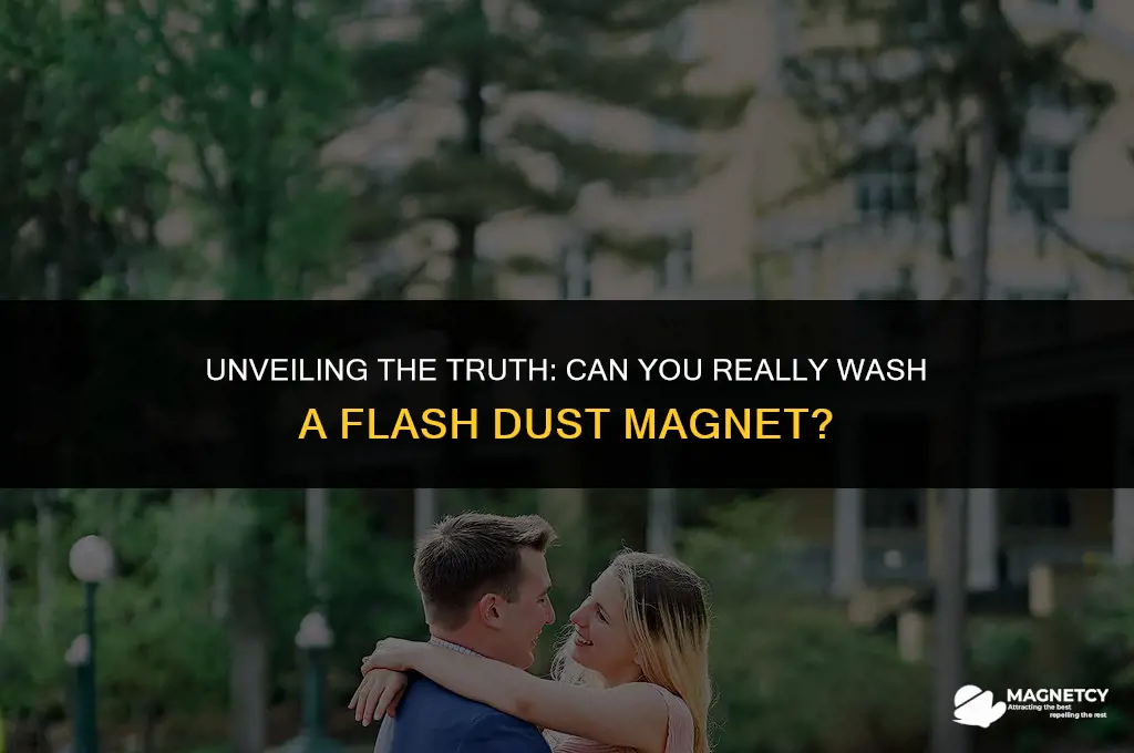 can you wash flash dust magnet