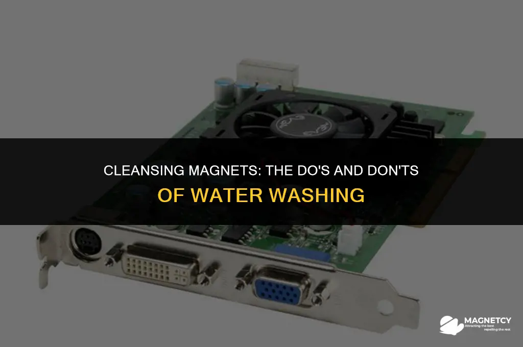 can you wash magnets with water
