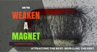 Exploring the Possibilities: Can You Really Weaken a Magnet?