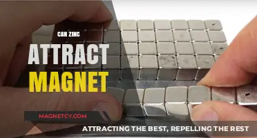 Does Zinc Attract Magnets? Unraveling the Magnetic Properties of Zinc