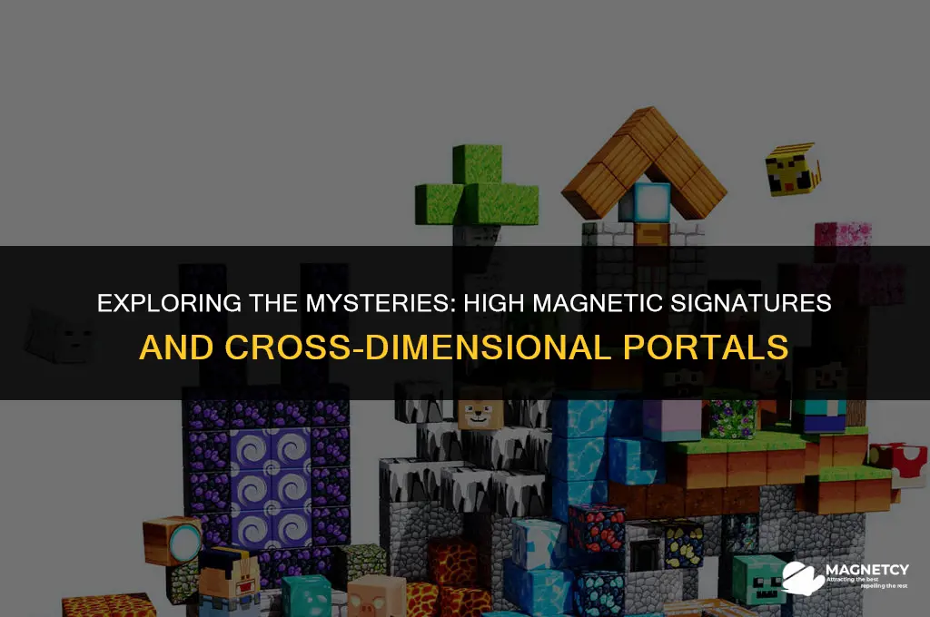 could a high magnetic signature mean a cross dimentional portal