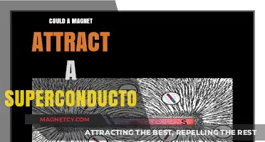 Magnets vs. Superconductors: Unraveling the Attraction Mystery