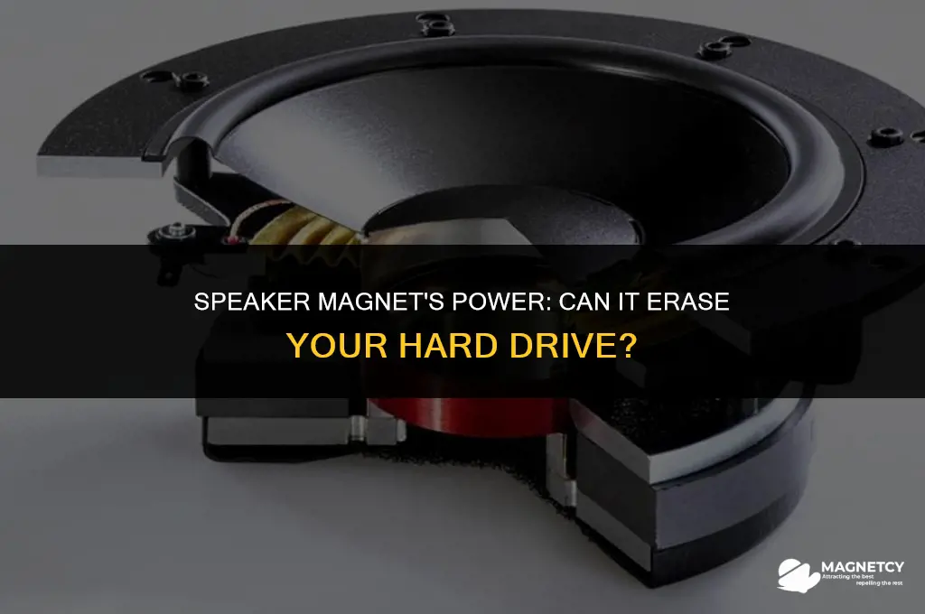 could a magnet from a speaker erase a hard drive