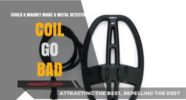 Could a Magnet Ruin Your Metal Detecting Coil? Find Out Here!