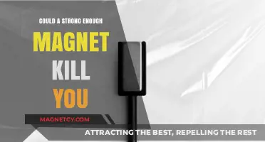 The Lethal Potential of Magnets: Separating Fact from Fiction
