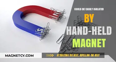 Exploring the Magnetic Properties of Everyday Objects