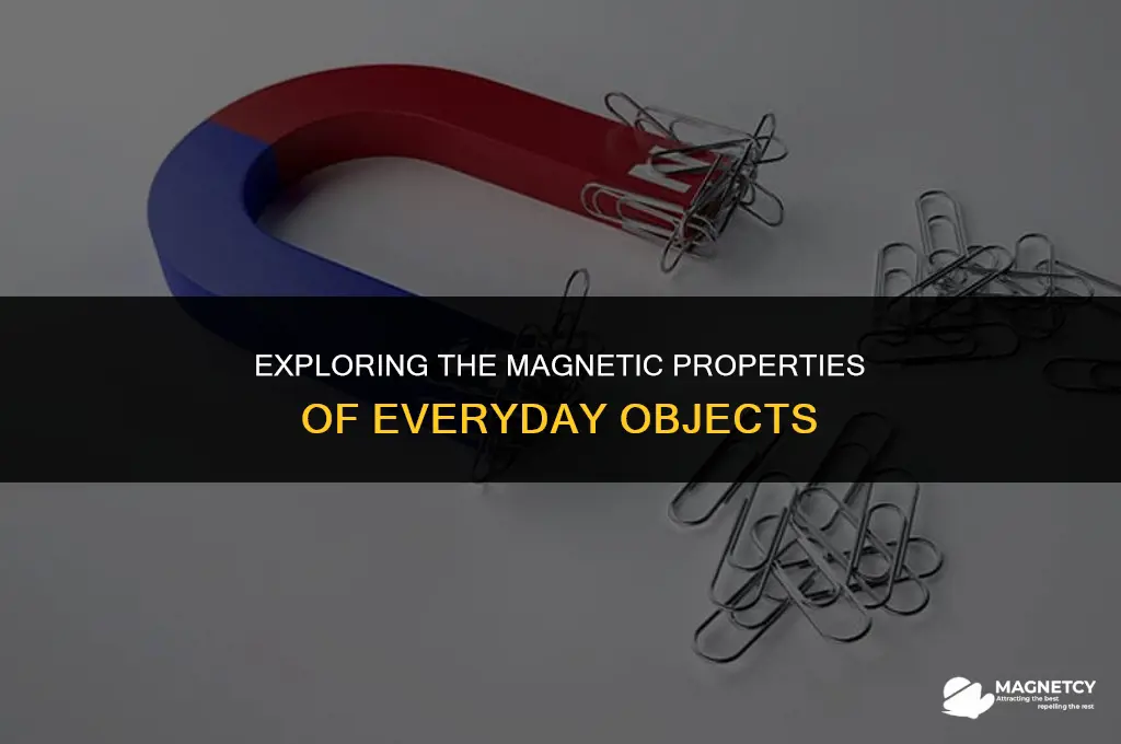 could be easily isolated by hand-held magnet