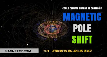 Exploring the Link: Magnetic Pole Shift and Climate Change