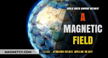 Shielded Planet: Exploring Earth's Survival Without a Magnetic Field