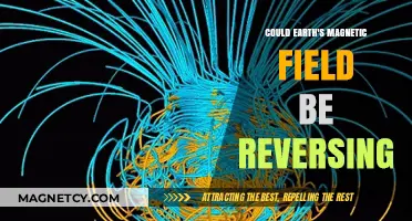 Shifting Poles: The Enigma of Earth's Magnetic Field Reversal