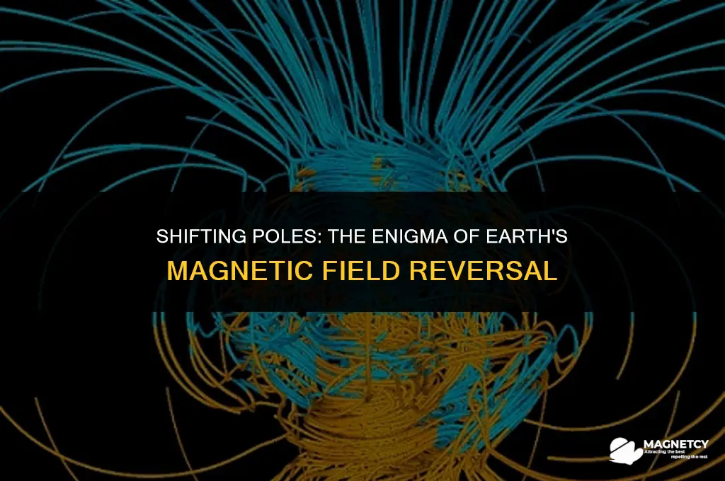 could earth