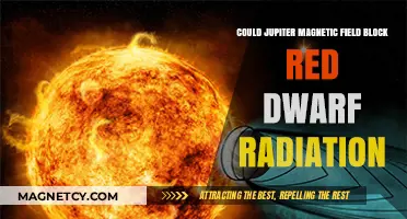 Jupiter's Magnetic Shield: Could It Block Red Dwarf Radiation?