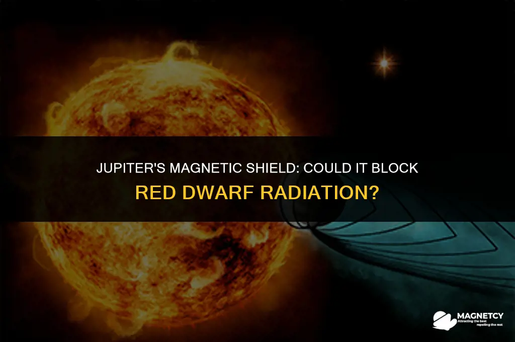 could jupiter magnetic field block red dwarf radiation