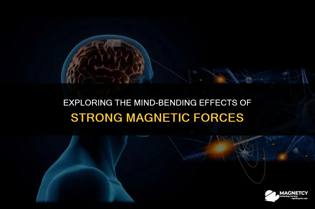 could strong magnetic force mess with ur brain