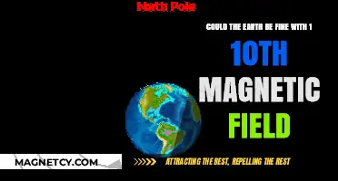 Exploring Earth's Resilience: The Impact of a Diminished Magnetic Field