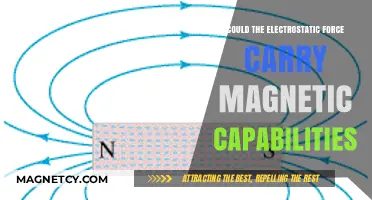 Exploring the Intriguing Link Between Electrostatic Force and Magnetism