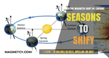 Exploring the Link Between Magnetic Shifts and Seasonal Changes