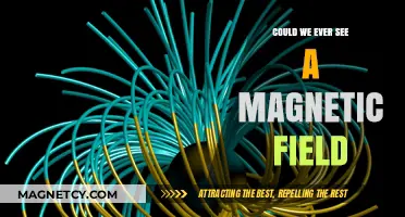 Exploring the Invisible Force: Could We Ever See a Magnetic Field?