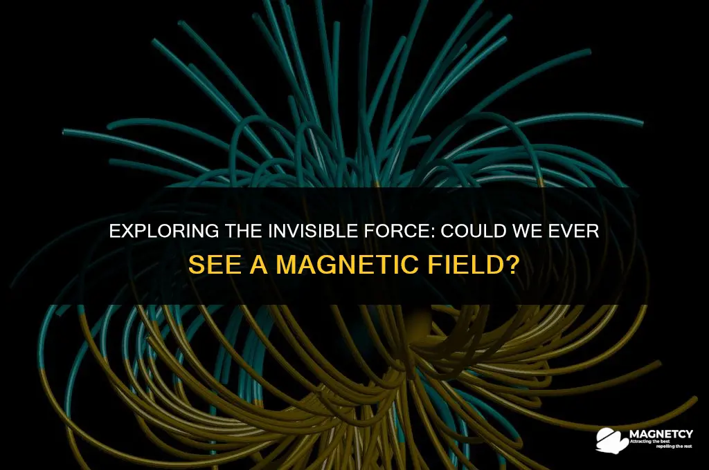 could we ever see a magnetic field