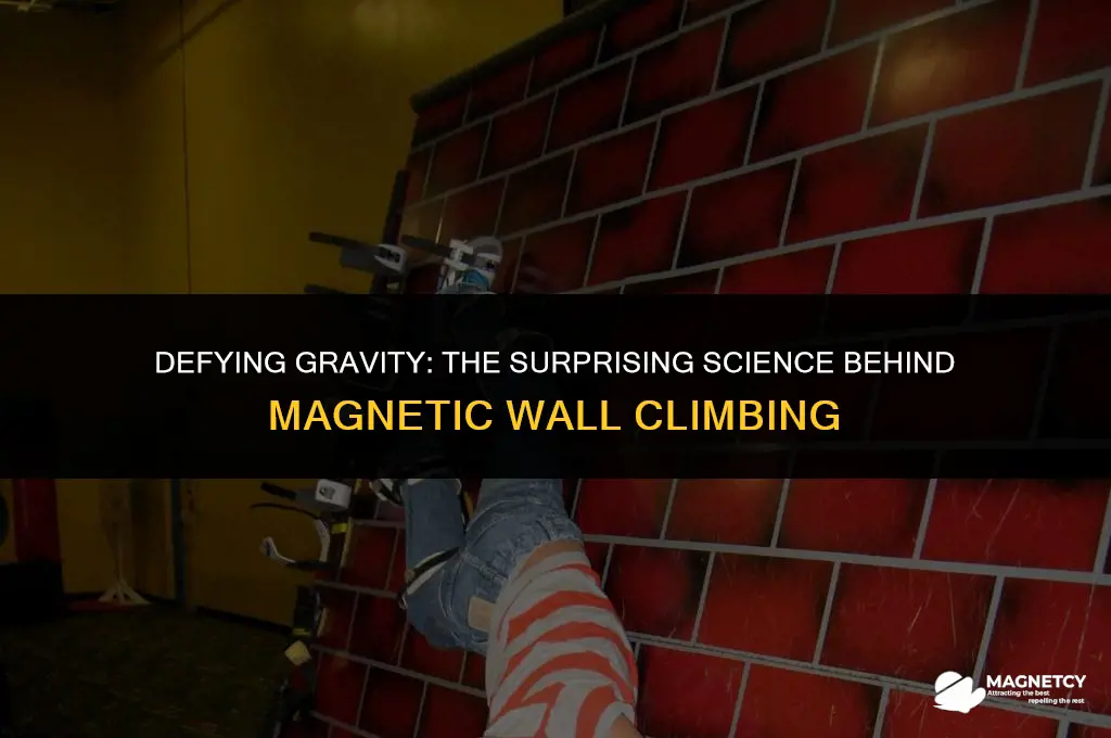 could you climb a wall with magnets