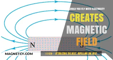 Exploring the Skies: Electricity's Magnetic Influence on Flight