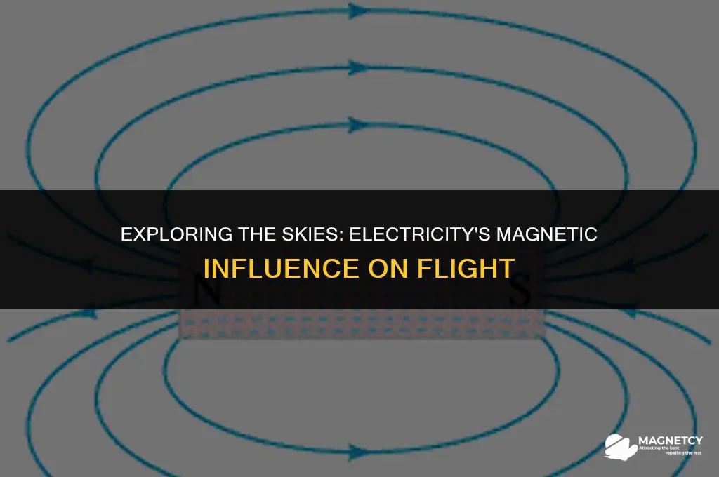 could you fly with electricity creates magnetic field