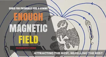 Exploring the Tangible Effects of Powerful Magnetic Fields