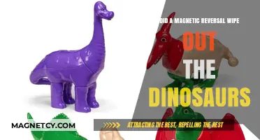 Could a Magnetic Reversal Have Led to the Dinosaurs' Demise?